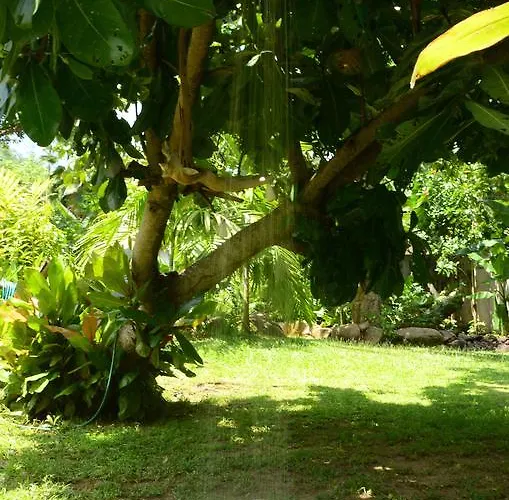 Kordia